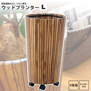 Ebhv^[ L 9p a39cm(a34)  CeA  LX^[t ؐ ی` GUY-814 Ebhv^[ L