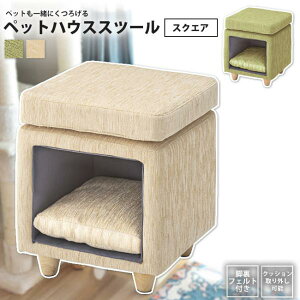 ybgXc[ XNGA p^ Xc[ ybgnEX  ybgxbh NbVt PET-62 BE/GR