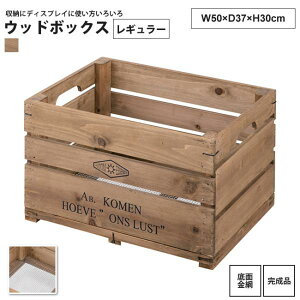 Ebh{bNX M[ 50x37x30  ؔ BOX bN JS  LFS-476 Ebh{bNX