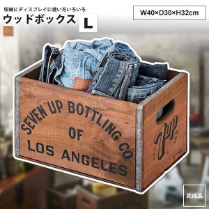 Ebh{bNX L 40x30x32  ؔ BOX bN JS  LFS-478 Ebh{bNXL