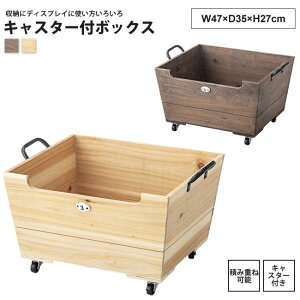 LX^[t {bNX 47x35x27  S ؔ BOX P[X bN JS  LFS-177 BR/NA LX^[t{bNX