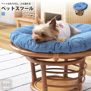 yyVX[p[SALE zz^Xc[ ybg&l  ~`  PET-64 ybgXc[