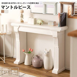 yyVX[p[SALE zz}gs[X  100 e[u R\[ MTP-100 BR/WH }gs[X