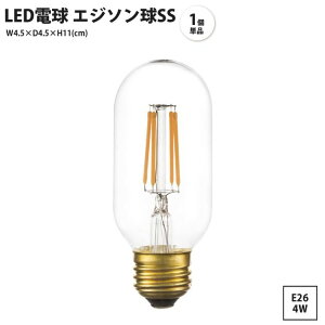 LED�d�� �G�W�\����SS 1�� �P�i ���� E26 4W ���b�g ������� ���g�� �d���̂� LED-101 x1�� LED �G�W�\����SS