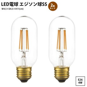 LEDd GW\SS 2Zbg  E26 4W bg  g d̂ LED-101 x2 LED GW\SS