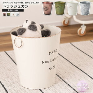 �_�X�g�{�b�N�X ������� �S�~�� �������� �V���r�[�V�b�N �X�`�[���� �A���e�B�[�N�� LFS-426 BZ/GR/IV/SV �_�X�g�{�b�N�X