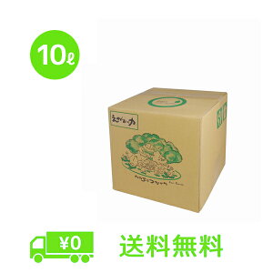 「えがおの力(旧松の力)」10L 【お徳用】 植物油由来成分からできた濃縮自然派洗剤