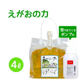 「えがおの力（旧松の力）」4L濃縮/ エコロジー泡ボトル350mlセット　植物油由来成分からできたボタニカル多用途洗剤