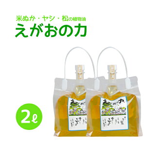 「えがおの力(旧松の力)」2L 2個セット 植物油由来成分からできた濃縮自然派洗剤