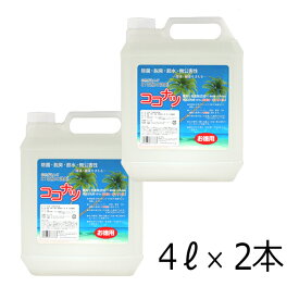 多目的洗剤 ココナツ 4L ×2本 肌と自然環境にやさしいオーガニック洗剤「ココナツ洗剤」