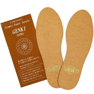 【メール便で送料無料】Cosmic Power Insole GENKI EXTRA インソール 靴 中敷き 消臭 吸湿【抗酸化溶液活…