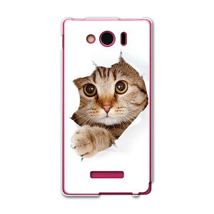 303SH AQUOS PHONE Xx mini アクオスフォン ダブルエックス ミニ 303sh softbank スマホ カバー ケース スマホケース スマホカバー PC ハードケース 猫 動物 写真 アニマル 002783