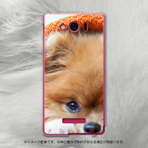 303SH AQUOS PHONE Xx mini ANIXtH _uGbNX ~j 303sh softbank X}z Jo[ P[X X}zP[X X}zJo[ PC n[hP[X @ʐ^@IW Aj} ʐ^Ei 008644