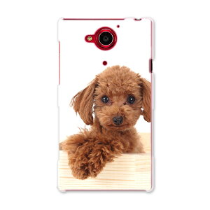 404SH AQUOS Xx-Y �A�N�I�X Xx-Y ymobile ���C���o�C�� �X�}�z �J�o�[ �P�[�X �X�}�z�P�[�X �X�}�z�J�o�[ PC �n�[�h�P�[�X ���@�����@�ʐ^ �A�j�}�� 002769