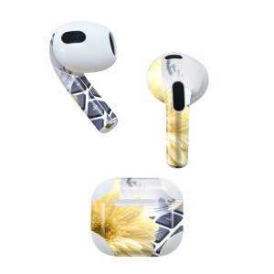 AirPods 3 p fUCXLV[ airpods 3 p GA|bh 3 p Oi2021jΉ 2 e2Zbg Cz Jo[ fR[V ANZT[ fRV[ 000924 ԁ@L[{[