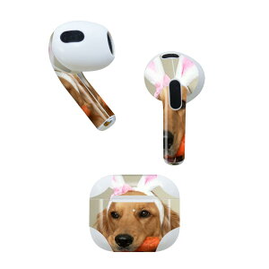 AirPods 3 p fUCXLV[ airpods 3 p GA|bh 3 p Oi2021jΉ 2 e2Zbg Cz Jo[ fR[V ANZT[ fRV[ 001111 @S[f
