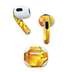 AirPods 3 p fUCXLV[ airpods 3 p GA|bh 3 p Oi2021jΉ 2 e2Zbg Cz Jo[ fR[V ANZT[ fRV[ 001397 Ђ܂