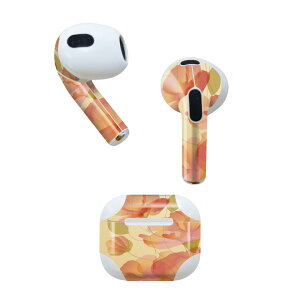 AirPods 3 p fUCXLV[ airpods 3 p GA|bh 3 p Oi2021jΉ 2 e2Zbg Cz Jo[ fR[V ANZT[ fRV[ 002041 ԁ@@sN
