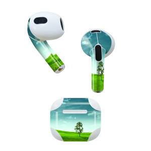 AirPods ��3���� ��p �f�U�C���X�L���V�[�� airpods 3 �p �G�A�|�b�h 3 �p ��O����i2021�j�Ή� 2������ �e2���Z�b�g �C���z�� �J�o�[ �f�R���[�V���� �A�N�Z�T���[ �f�R�V�[�� 002526 �i�F�@���i�@