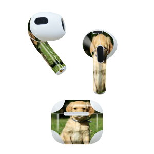 AirPods 3 p fUCXLV[ airpods 3 p GA|bh 3 p Oi2021jΉ 2 e2Zbg Cz Jo[ fR[V ANZT[ fRV[ 002580 @@