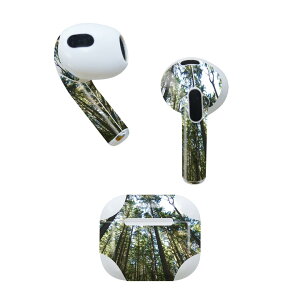 AirPods ��3���� ��p �f�U�C���X�L���V�[�� airpods 3 �p �G�A�|�b�h 3 �p ��O����i2021�j�Ή� 2������ �e2���Z�b�g �C���z�� �J�o�[ �f�R���[�V���� �A�N�Z�T���[ �f�R�V�[�� 002581 �i�F�@���i�@