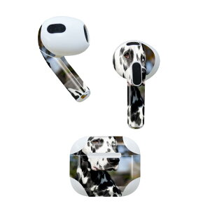 AirPods 3 p fUCXLV[ airpods 3 p GA|bh 3 p Oi2021jΉ 2 e2Zbg Cz Jo[ fR[V ANZT[ fRV[ 002587 @@