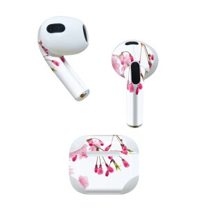 AirPods ��3���� ��p �f�U�C���X�L���V�[�� airpods 3 �p �G�A�|�b�h 3 �p ��O����i2021�j�Ή� 2������ �e2���Z�b�g �C���z�� �J�o�[ �f�R���[�V���� �A�N�Z�T���[ �f�R�V�[�� 002620 �ԁ@�ʐ^�@�s