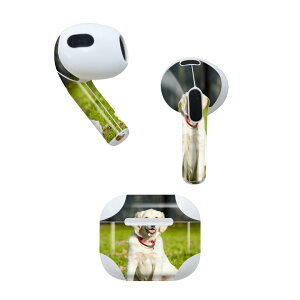 AirPods 3 p fUCXLV[ airpods 3 p GA|bh 3 p Oi2021jΉ 2 e2Zbg Cz Jo[ fR[V ANZT[ fRV[ 002665 @@