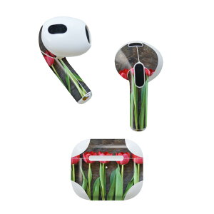 AirPods 3 p fUCXLV[ airpods 3 p GA|bh 3 p Oi2021jΉ 2 e2Zbg Cz Jo[ fR[V ANZT[ fRV[ 002731 ԁ@`[