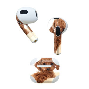 AirPods 3 p fUCXLV[ airpods 3 p GA|bh 3 p Oi2021jΉ 2 e2Zbg Cz Jo[ fR[V ANZT[ fRV[ 002769 @@