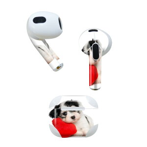 AirPods 3 p fUCXLV[ airpods 3 p GA|bh 3 p Oi2021jΉ 2 e2Zbg Cz Jo[ fR[V ANZT[ fRV[ 002793 @@