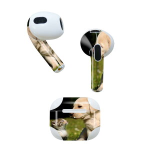 AirPods ��3���� ��p �f�U�C���X�L���V�[�� airpods 3 �p �G�A�|�b�h 3 �p ��O����i2021�j�Ή� 2������ �e2���Z�b�g �C���z�� �J�o�[ �f�R���[�V���� �A�N�Z�T���[ �f�R�V�[�� 002794 ���@�L�@����