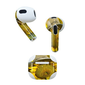 AirPods ��3���� ��p �f�U�C���X�L���V�[�� airpods 3 �p �G�A�|�b�h 3 �p ��O����i2021�j�Ή� 2������ �e2���Z�b�g �C���z�� �J�o�[ �f�R���[�V���� �A�N�Z�T���[ �f�R�V�[�� 002800 �Ђ܂��@��