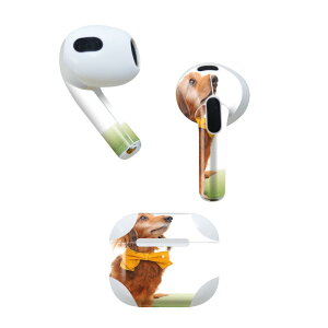 AirPods 3 p fUCXLV[ airpods 3 p GA|bh 3 p Oi2021jΉ 2 e2Zbg Cz Jo[ fR[V ANZT[ fRV[ 002852 @@