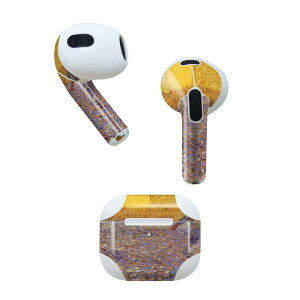 AirPods 3 p fUCXLV[ airpods 3 p GA|bh 3 p Oi2021jΉ 2 e2Zbg Cz Jo[ fR[V ANZT[ fRV[ 003246 O@G@