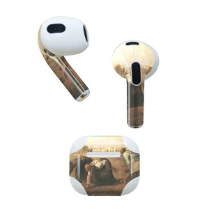 AirPods 3 p fUCXLV[ airpods 3 p GA|bh 3 p Oi2021jΉ 2 e2Zbg Cz Jo[ fR[V ANZT[ fRV[ 003249 O@G@