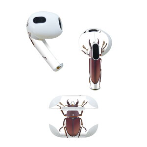 AirPods ��3���� ��p �f�U�C���X�L���V�[�� airpods 3 �p �G�A�|�b�h 3 �p ��O����i2021�j�Ή� 2������ �e2���Z�b�g �C���z�� �J�o�[ �f�R���[�V���� �A�N�Z�T���[ �f�R�V�[�� 020005 �� stag beetle �N
