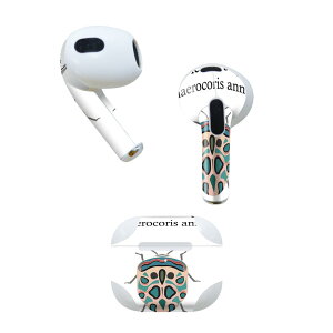 AirPods ��3���� ��p �f�U�C���X�L���V�[�� airpods 3 �p �G�A�|�b�h 3 �p ��O����i2021�j�Ή� 2������ �e2���Z�b�g �C���z�� �J�o�[ �f�R���[�V���� �A�N�Z�T���[ �f�R�V�[�� 020023 �� �� picasso bug