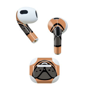 AirPods 3 p fUCXLV[ airpods 3 p GA|bh 3 p Oi2021jΉ 2 e2Zbg Cz Jo[ fR[V ANZT[ fRV[ 020858 }XNfUC