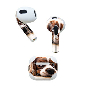 AirPods 3 p fUCXLV[ airpods 3 p GA|bh 3 p Oi2021jΉ 2 e2Zbg Cz Jo[ fR[V ANZT[ fRV[ 022868 @ʐ^