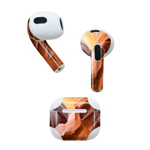 AirPods ��3���� ��p �f�U�C���X�L���V�[�� airpods 3 �p �G�A�|�b�h 3 �p ��O����i2021�j�Ή� 2������ �e2���Z�b�g �C���z�� �J�o�[ �f�R���[�V���� �A�N�Z�T���[ �f�R�V�[�� 022870 ��
