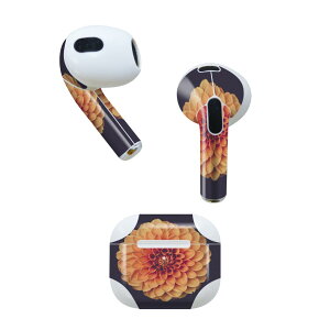 AirPods 3 p fUCXLV[ airpods 3 p GA|bh 3 p Oi2021jΉ 2 e2Zbg Cz Jo[ fR[V ANZT[ fRV[ 022891 ԁ@ʐ^