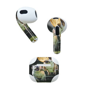 AirPods 3 p fUCXLV[ airpods 3 p GA|bh 3 p Oi2021jΉ 2 e2Zbg Cz Jo[ fR[V ANZT[ fRV[ 023041 @@