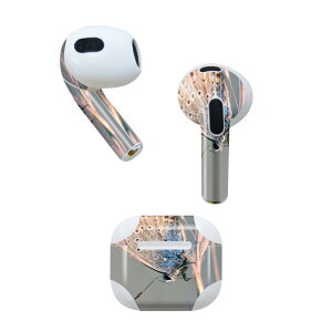 AirPods ��3���� ��p �f�U�C���X�L���V�[�� airpods 3 �p �G�A�|�b�h 3 �p ��O����i2021�j�Ή� 2������ �e2���Z�b�g �C���z�� �J�o�[ �f�R���[�V���� �A�N�Z�T���[ �f�R�V�[�� 023050 ���X�@�ԁ@��