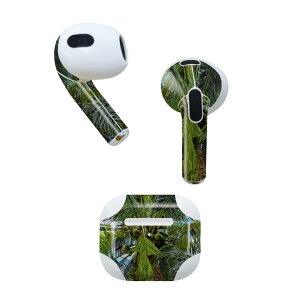 AirPods 3 p fUCXLV[ airpods 3 p GA|bh 3 p Oi2021jΉ 2 e2Zbg Cz Jo[ fR[V ANZT[ fRV[ 023141 V̖؁@