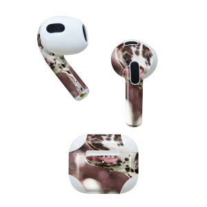 AirPods 3 p fUCXLV[ airpods 3 p GA|bh 3 p Oi2021jΉ 2 e2Zbg Cz Jo[ fR[V ANZT[ fRV[ 023189 @@