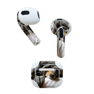AirPods 3 p fUCXLV[ airpods 3 p GA|bh 3 p Oi2021jΉ 2 e2Zbg Cz Jo[ fR[V ANZT[ fRV[ 023225 @ʐ^@