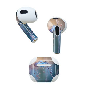 AirPods 3 p fUCXLV[ airpods 3 p GA|bh 3 p Oi2021jΉ 2 e2Zbg Cz Jo[ fR[V ANZT[ fRV[ 023271 H@tFU
