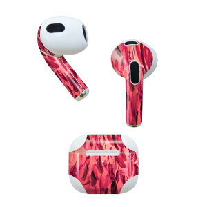 AirPods ��3���� ��p �f�U�C���X�L���V�[�� airpods 3 �p �G�A�|�b�h 3 �p ��O����i2021�j�Ή� 2������ �e2���Z�b�g �C���z�� �J�o�[ �f�R���[�V���� �A�N�Z�T���[ �f�R�V�[�� 023272 �H���@�t�F�U