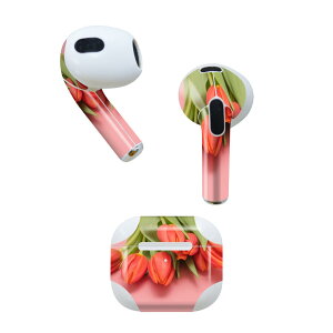 AirPods ��3���� ��p �f�U�C���X�L���V�[�� airpods 3 �p �G�A�|�b�h 3 �p ��O����i2021�j�Ή� 2������ �e2���Z�b�g �C���z�� �J�o�[ �f�R���[�V���� �A�N�Z�T���[ �f�R�V�[�� 023309 �ԁ@�t�����[